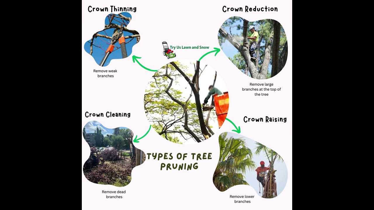 Try Us - Types of Pruning