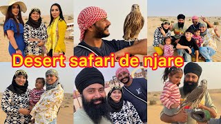 Desert safari mja a gya gaddi de stunta da, Dubai Vlog-10