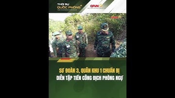 Sư đoàn 3 (Quân khu 1) chuẩn bị diễn tập tiến công địch phòng ngự #sudoan3 #quankhu1