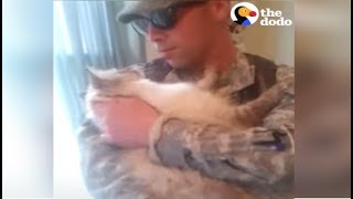 Soldier Comes Home to Cat Who Can't Wait to be Reunited With Dad | The Dodo