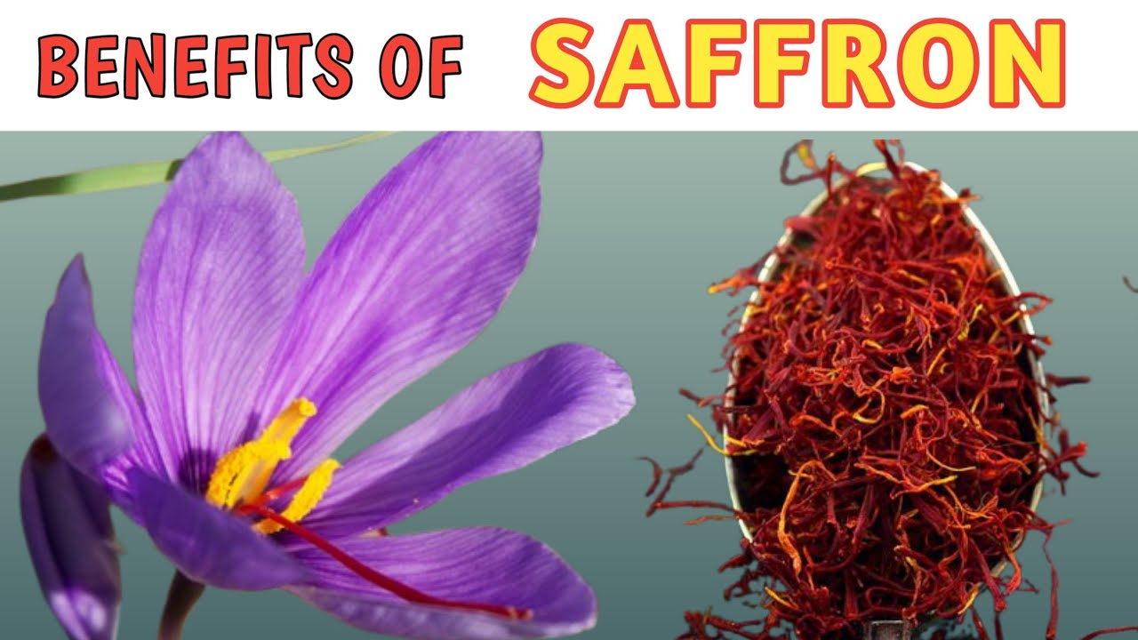 impressive health benefits of saffron health benefits of saffron