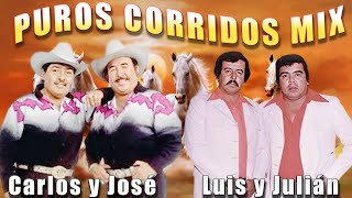 Luis y Julián vs Carlos y José || Puros Corridos Viejitos