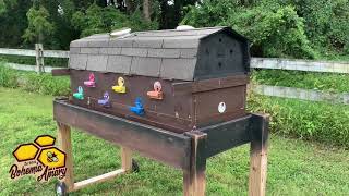 Mega-Queen Castle | Beekeeping