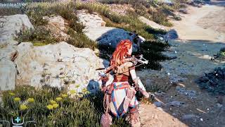Horizon Zero Dawn PC patch 1.03 flickering issue