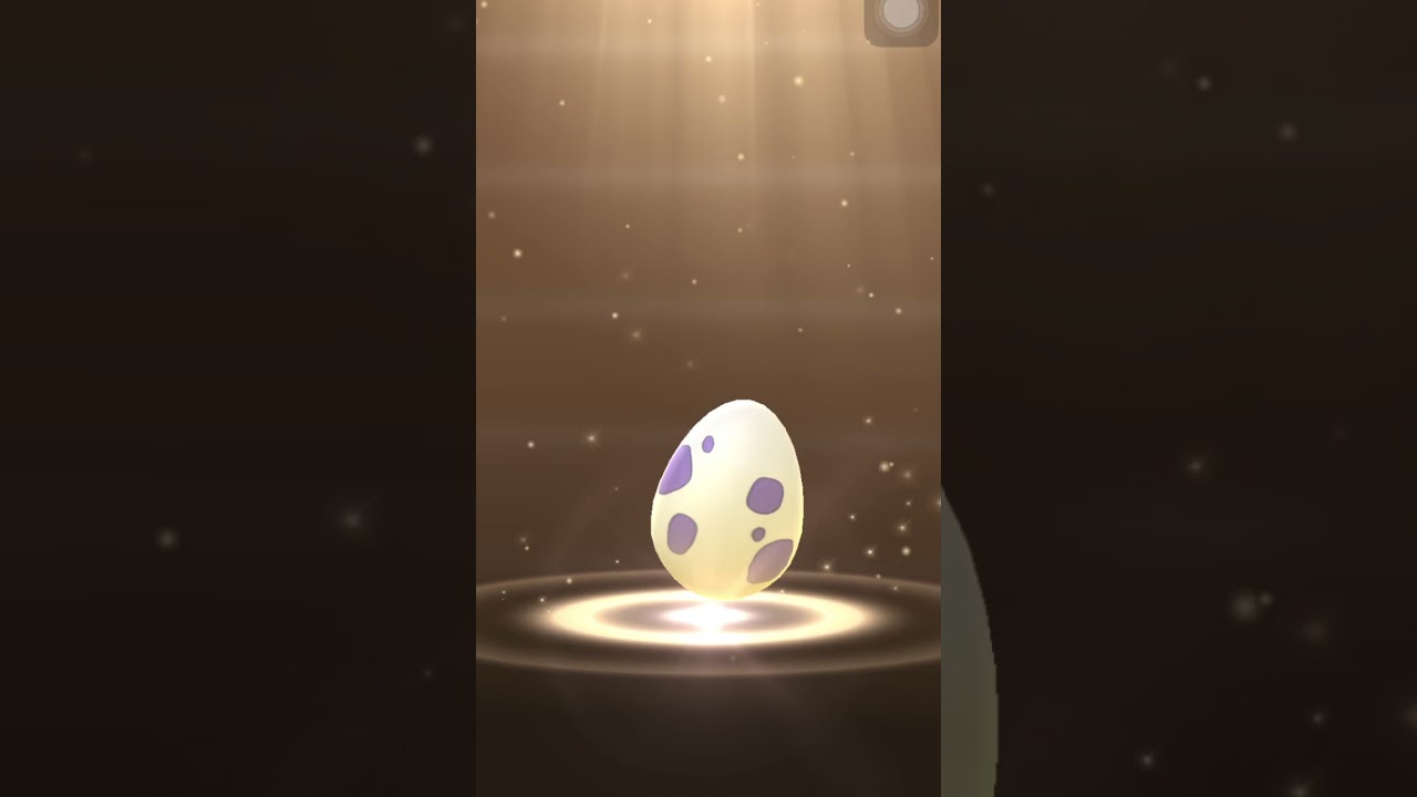 Hatching 10 Km egg (Darumaka) -Pokémon Go