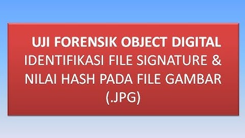 UJI FORENSIK OBJECT DIGITAL || IDENTIFIKASI FILE SIGNATURE & NILAI HASH PADA FILE GAMBAR (.JPG)