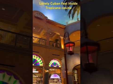 My Biggest Win EVER on Dragon Link! MASSIVE Jackpot!