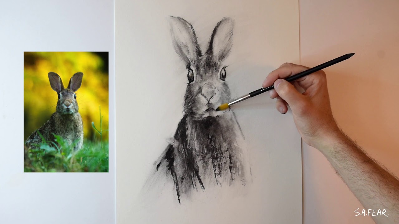 Sketching a Rabbit | Charcoal Drawing Timelapse - YouTube