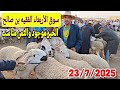مباشرة من سوق الأربعاء الفقيه بن صالح الخروف الكسابي والحولي والحولية والنعجة تاريخ 23 7 2025 مباشرة من سوق الأربعاء الفقيه بن صالح الخروف الكسابي والحولي والحولية والنعجة تاريخ 23 7 2025