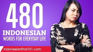 480 Indonesian Words for Everyday Life - Basic Vocabulary #24
