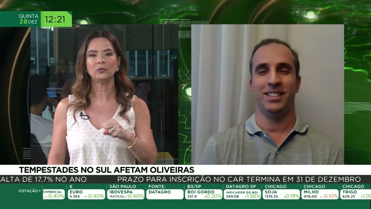 Tempestades no Sul afetam oliveiras