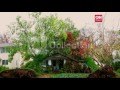 NJ SANDY TREES FALL ON HOME FROM DIFF DIRECTIONS 