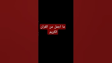 اهرب بسرعه أنها ليست اغنيه بل إنه سورة الفلق #شبح_مصر #القرآن_الكريم #السعودية #ماهر_المعيقلي