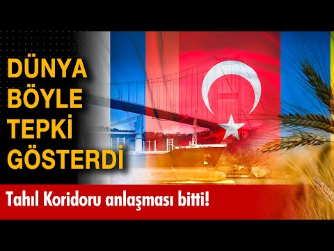 Tahıl Koridoru anlaşmasının bitmesine dünya böyle tepki gösterdi