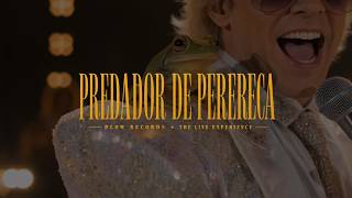 Predador de Perereca (1982) - Ao Vivo