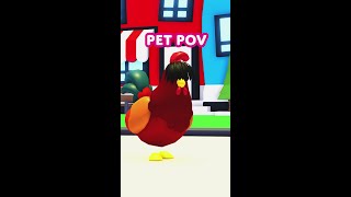 POV: pet with long bangs 🐔