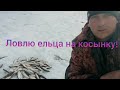 Ловим крупного ельца! (big dace fishing)