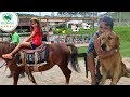 CRIANÇAS BRINCANDO NO PARQUINHO DO HOTEL FAZENDA DONA FRANCISCA E CAÇA AO TESOURO