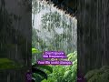 639Hz Rain Frequency 🌧️ Deep Love Healing Vibes 💖