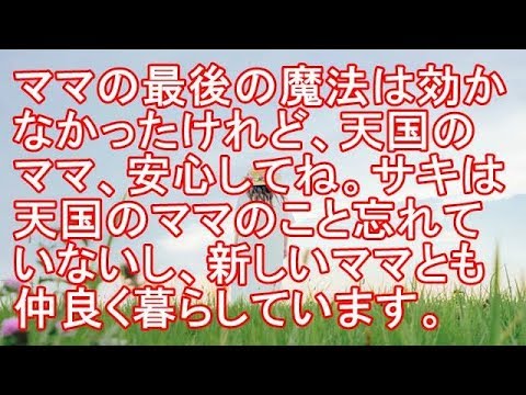 【感動泣けるYORKY TV】ママの最後の魔法・・・天国のママ安心してね