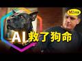 AI正在掘墓還是造神?電子龍蝦、賽博同事與一隻被救回來的狗|M2檔案|AI 話題