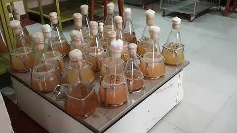 How Pseudomonas, Bacillus and Trichoderma prepared?