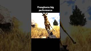 He's a very talented pronghorn #farcry5 #gaming #funny #ubisoft #farcry