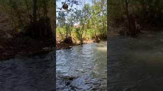 و رود زیبای واقع در شهر زیبای ۱