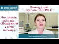 Почему нужно удалять ЛИПОМЫ? Что делать, если вы обнаружили у себя ЛИПОМУ? Рассказывает врач-хирург.