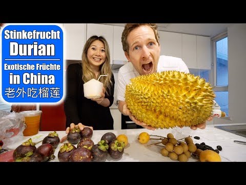 Wir essen Stinkefrucht Durian 😳 Mangosteen & Jackfruit! Exotische Früchte testen! 老外吃榴莲 Mamiseelen
