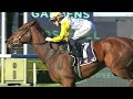 COUPLES RETREAT WINS THE VALE PETER TAYLOR HANDICAP