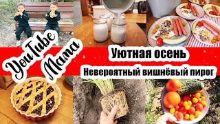 видео: БУДНИ МНОГОДЕТНОЙ МАМЫ: ПЕЧЁМ ПИРОГ 🥧 ◾ ДОМАШНЙ ЙОГУРТ 🥛 ◾ НАВОДИМ ЧИСТОТУ 🏡 ◾  САЖАЕМ РАСТЕНИЯ 🌿 картинка: БУДНИ МНОГОДЕТНОЙ МАМЫ: ПЕЧЁМ ПИРОГ 🥧 ◾ ДОМАШНЙ ЙОГУРТ 🥛 ◾ НАВОДИМ ЧИСТОТУ 🏡 ◾  САЖАЕМ РАСТЕНИЯ 🌿