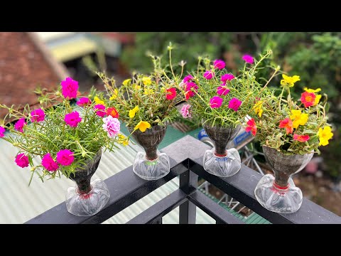 Make your own beautiful planter from used plastic bottles