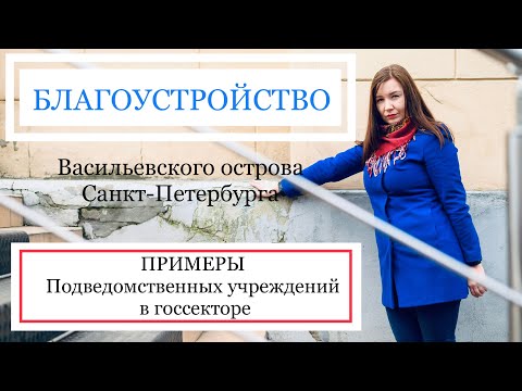 Подведомственные учреждения госсектора | Благоустройство ВО Санкт-Петербурга | МФЦ Мои документы
