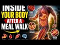 20-Minute Walk After Eating — What It Does Inside Your Body