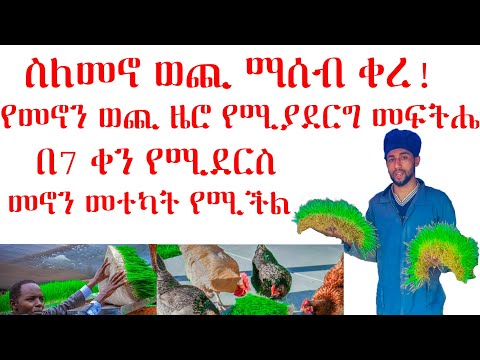 ቪዲዮ: አንድ ሆሞፎኒክ እና ብዙ ፎኒክ ምንድነው?