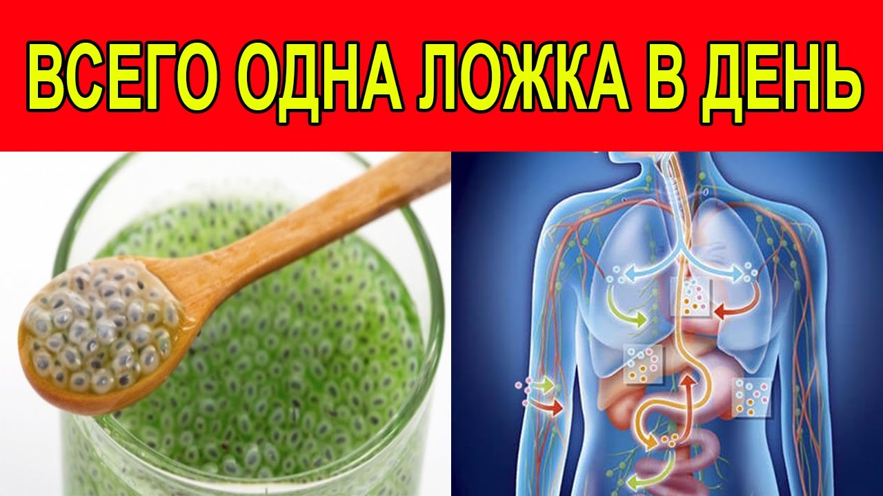 Семена Чиа польза - вред, противопоказания