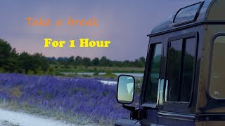 1 Hour - Musical notes that can Stimulates Love, Restores Balance, Relaxing Music, Stress Relief !