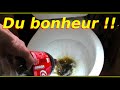 Coca cola exprience dtartrantdgraissantantirouille remi gaillard nouveaut 2015 fake lol2014