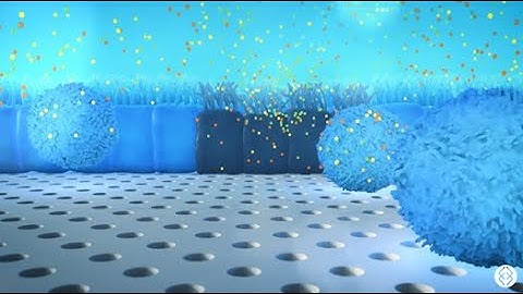 An Unparalleled Window into IBD Immune Response with Organ-on-a-Chip Technology