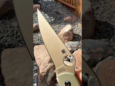 Spyderco September: Military in CTS-204P