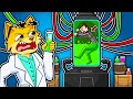 ESPERIMENTI CON L'ACIDO NEL NUOVO LABORATORIO ILLEGALE DI MELON PLAYGROUND! MARCELLO È IMMORTALE?!