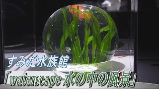 魚たちの心地よい暮らしを探る「waterscape」 すみだ水族館