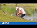 Florida man wrestles puppy from jaws of alligator