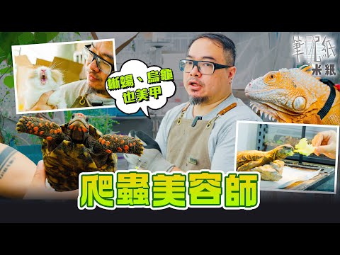 #米紙｜香港罕見職業 爬蟲美容師上門幫200磅巨龜修甲磨嘴 蛇 鼠類 蠍子 蜘蛛 曱甴奇珍異獸日常大公開 #筆記紙