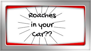How To Get Rid Of Roaches In Your Car