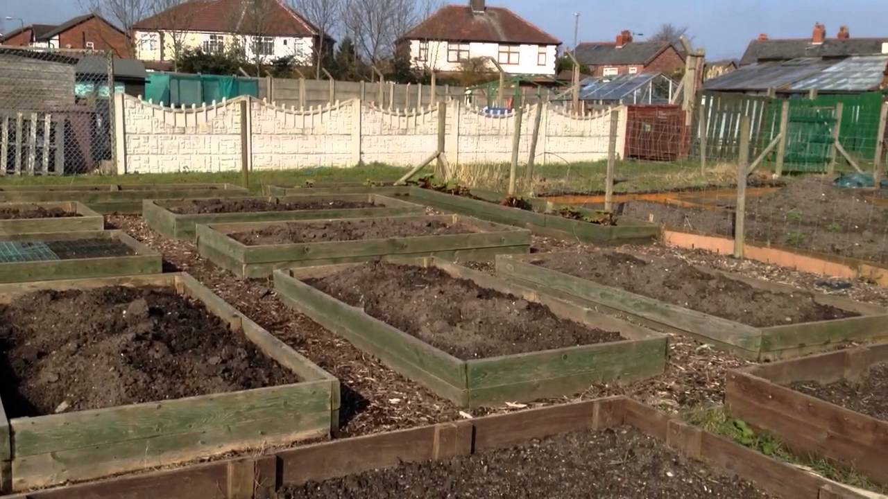 Raised bed allotment 13th March 2016 YouTube