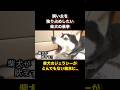 柴犬のジェラシー大爆発!