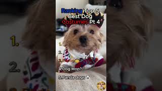 Ranking Top 5 Best Dog Costumes Pt 4!!!! #doggielife #funny #funnydogs #dogvideos