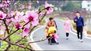 Canadian teacher thumbs up for Chinas high-quality rural development